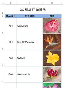 如何制作图片产品目录