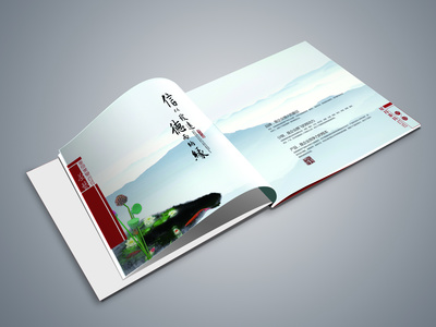 产品目录/画册|平面|书装/画册|王子Steven 